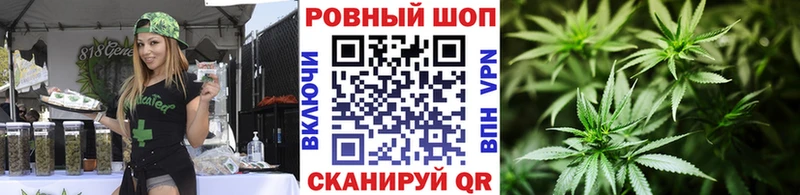 Галлюциногенные грибы Кстово