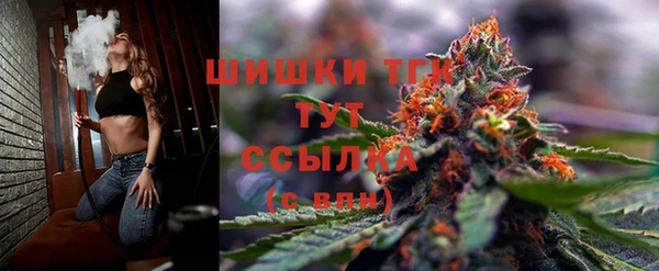 дмт Михайловск