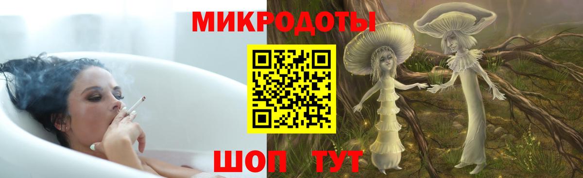 Псилоцибиновые грибы Psilocybe Кстово